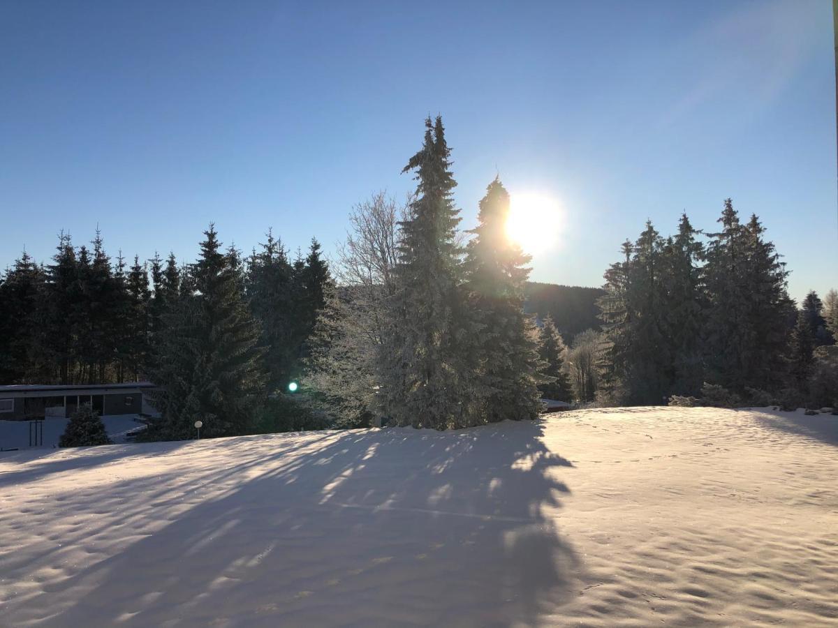 Bocksbergglueck In Hahnenklee, Endreinigung, Bezogene Betten, Handtuecher Inklusive Goslar Dış mekan fotoğraf