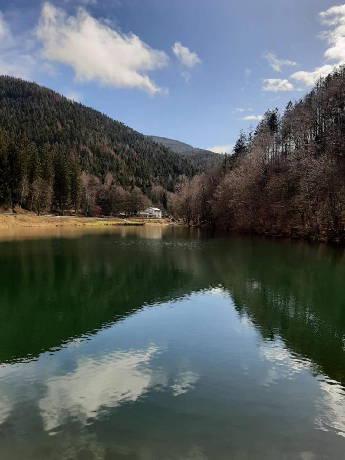 Bocksbergglueck In Hahnenklee, Endreinigung, Bezogene Betten, Handtuecher Inklusive Goslar Dış mekan fotoğraf