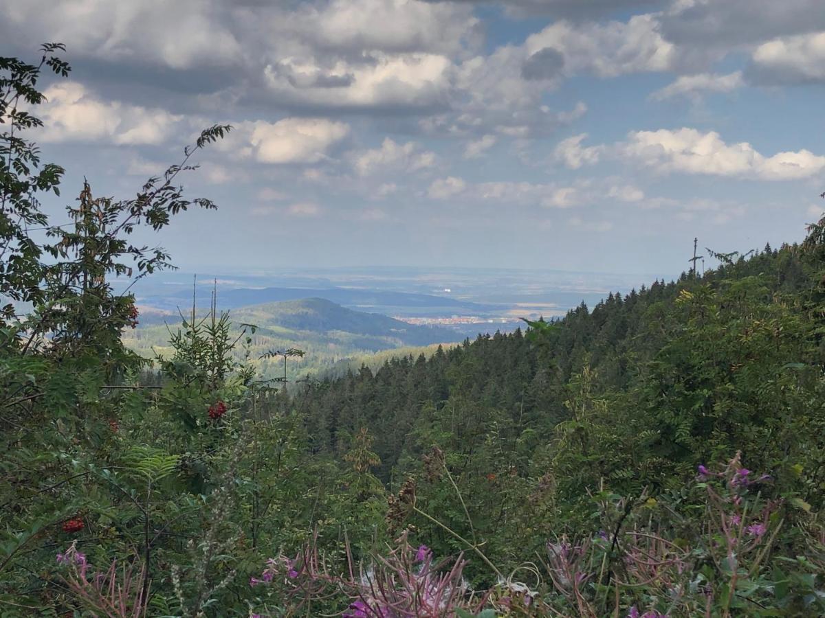 Bocksbergglueck In Hahnenklee, Endreinigung, Bezogene Betten, Handtuecher Inklusive Goslar Dış mekan fotoğraf